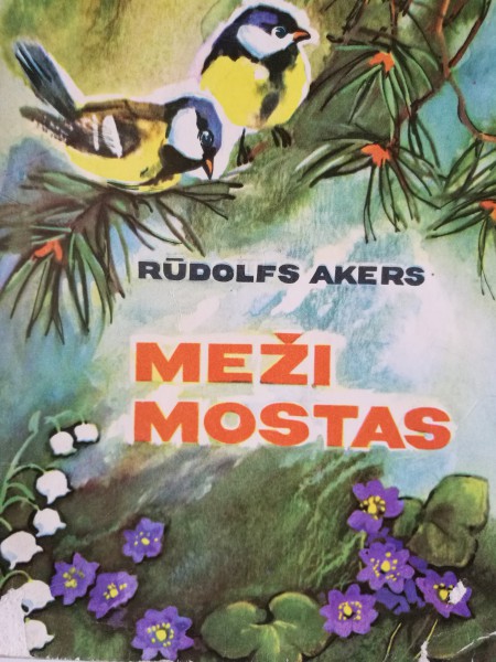 Meži mostas
