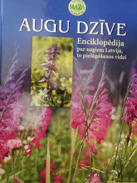 Augu dzīve