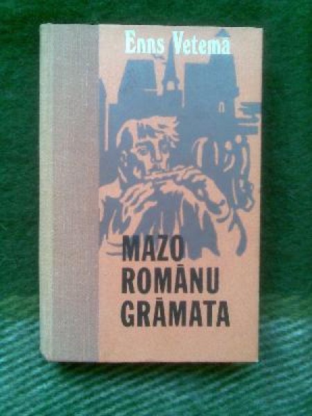 Mazo romānu grāmata 