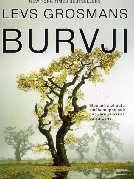 Burvji