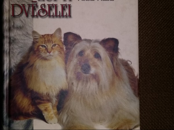 Cāļu zupa dvēselei kaķu un suņu saimniekiem