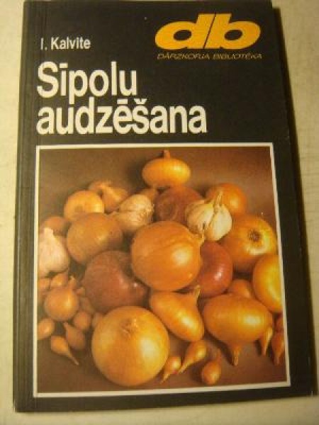 Sīpolu audzēšana 
