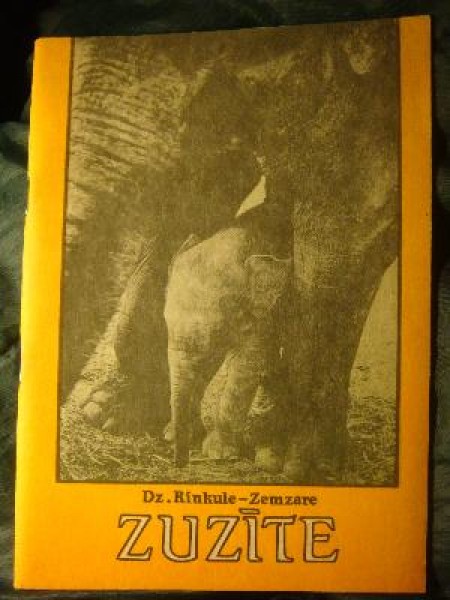 Zuzīte
