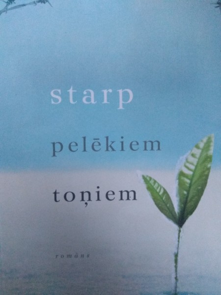 Starp pelēkiem toņiem