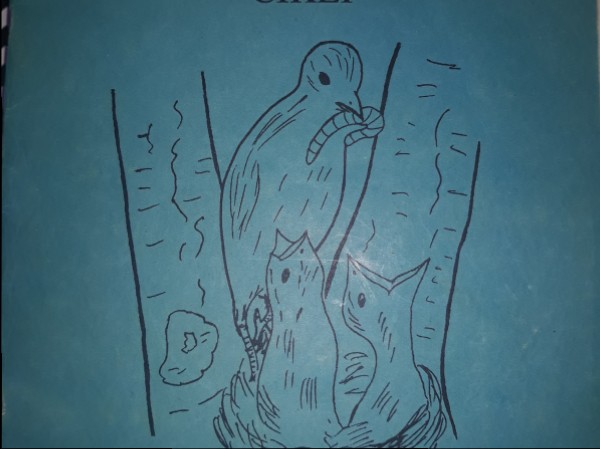 Vairošanās un dzīves cikli