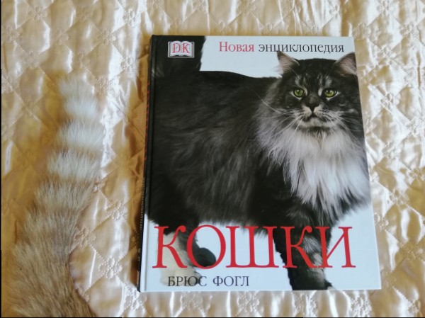 Кошки. Новая энциклопедия