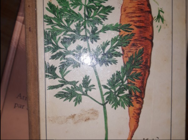 Taschenbuch der Feld- und Gartenfruchte