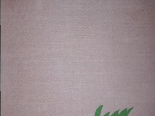 Saule sēja sidrabiņu