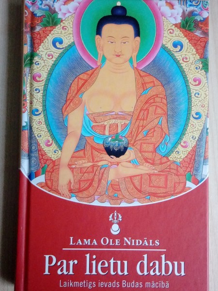 Par lietu dabu. Laikmetīgs ievads Budas mācībā