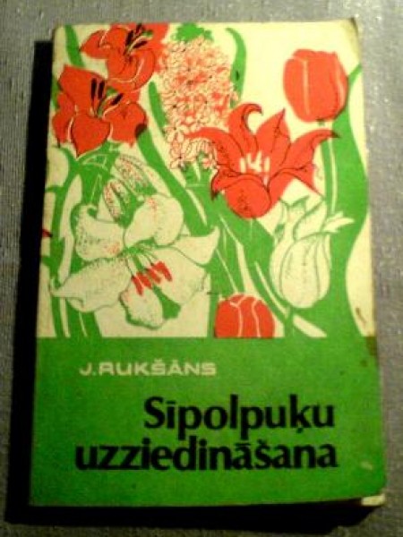 Sīpolpuķu uzziedināšana 