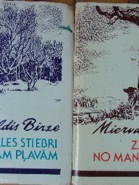 Zāles stiebri no manām pļavām 