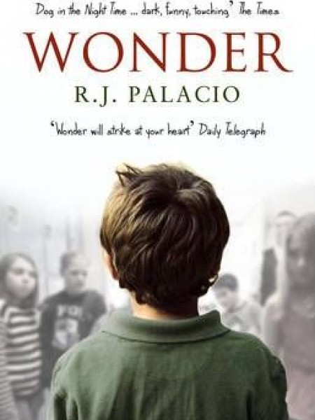 Wonder : Adult edition