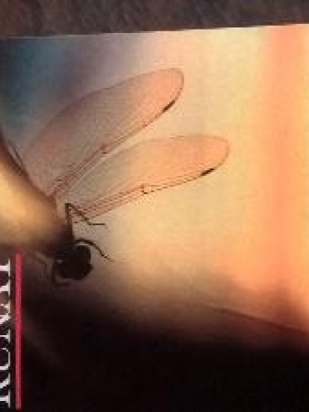 Ja dzīvnieki prastu runāt 