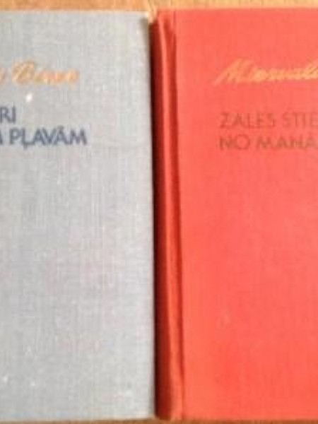 Zāles stiebri no manām pļavām