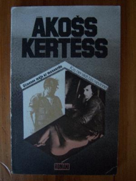 Ģimenes māja ar mansardu. Kas neriskē, tas nevinnē 