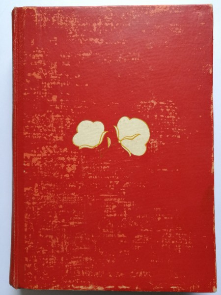 Stāsts par Hodžu Nasredinu