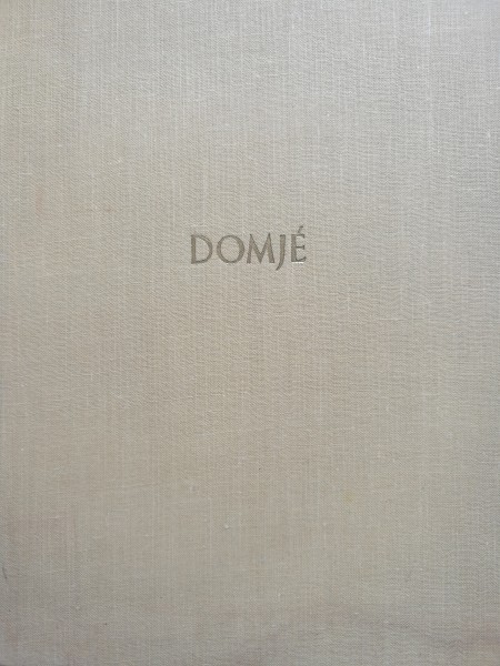 Onore Domje un viņa laikmets