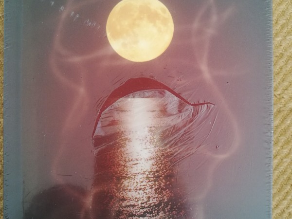 Divi. Pusnakts sarunas