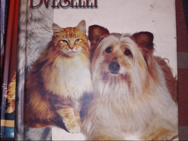 Cāļa zupa dvēselei Kaķu un suņu saimniekiem