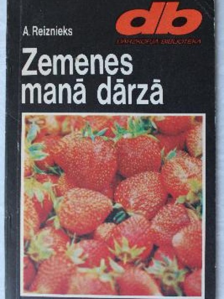 Zemenes manā dārzā