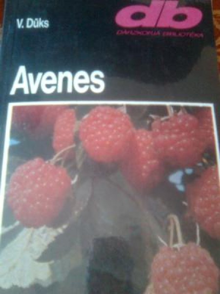 Avenes 