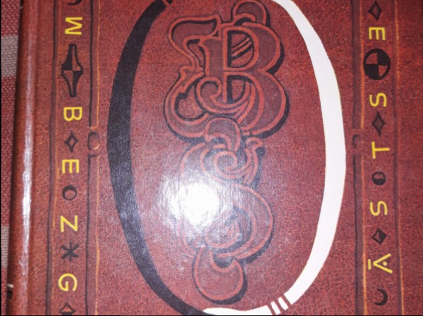 Bezgalīgais stāsts