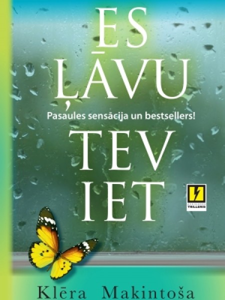 Es ļāvu tev iet