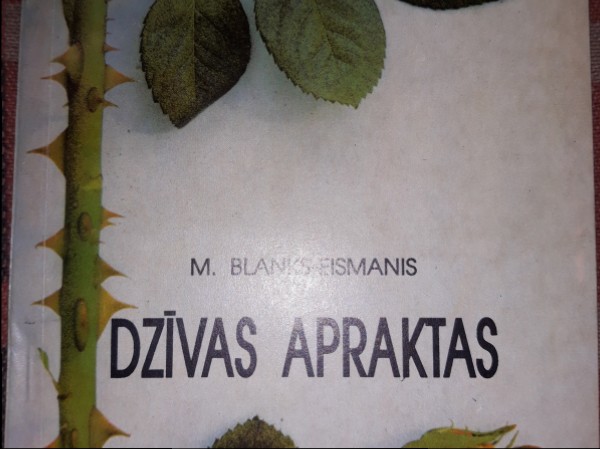 Dzīvas apraktas
