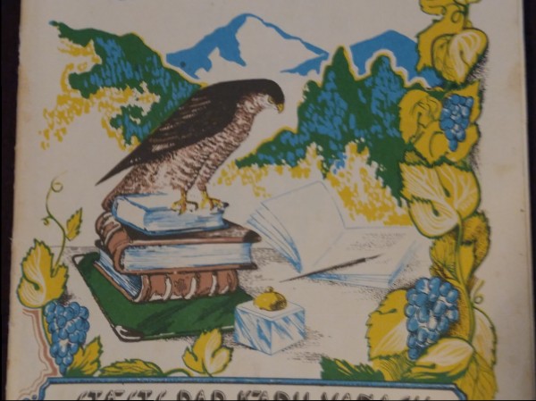 Stāsts par kādu vanagu