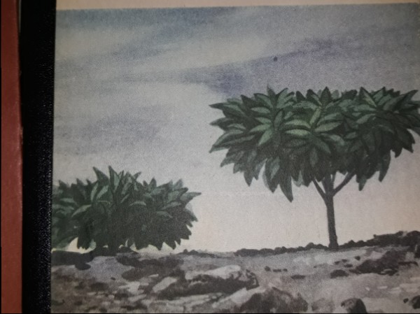 Mājupceļš uz Bikini