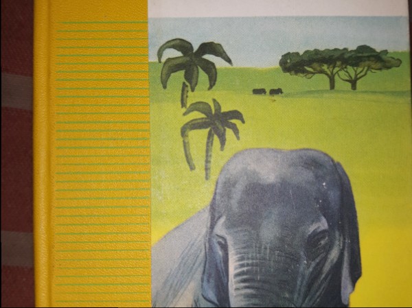 Maiklu ģimene Āfrikā