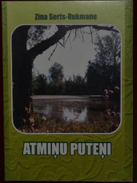 Atmiņu puteņi