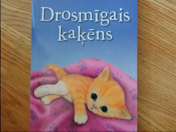 Drosmīgais kaķens
