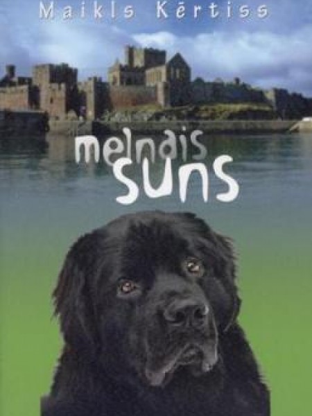 Melnais suns 