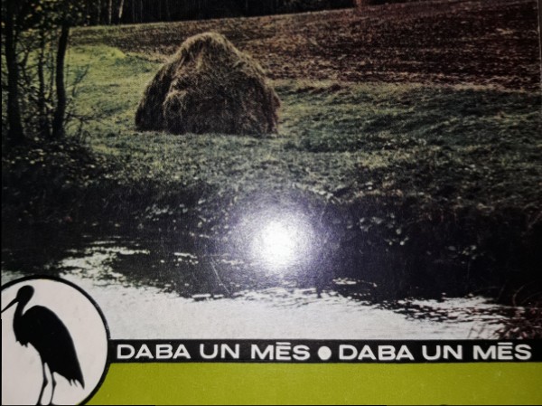 Saules celtā piramīda