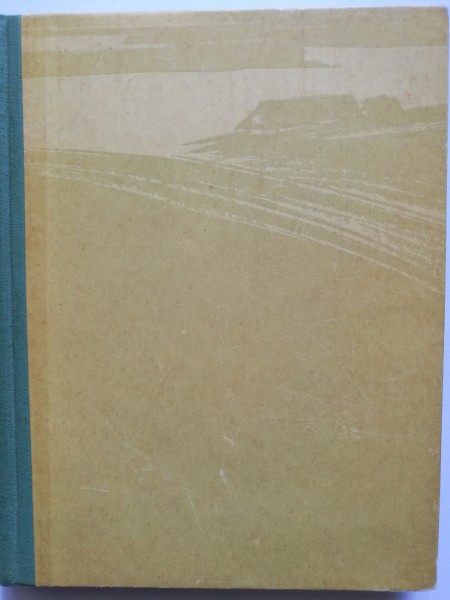 Kalnaciema piena vedējs