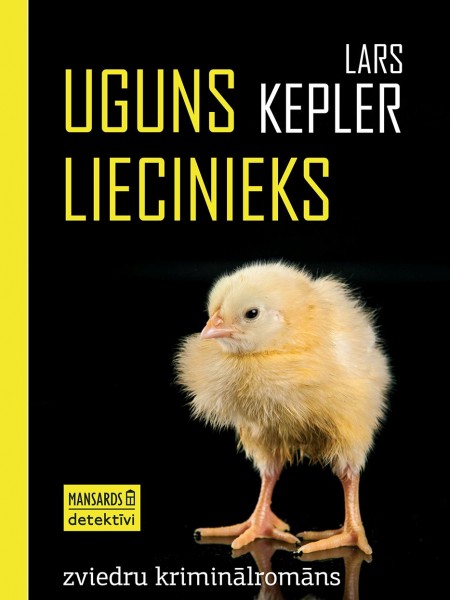 Uguns liecinieks