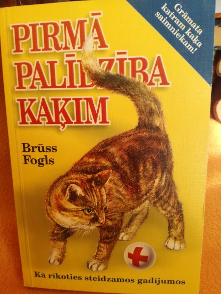 Pirmā palīdzība kaķim