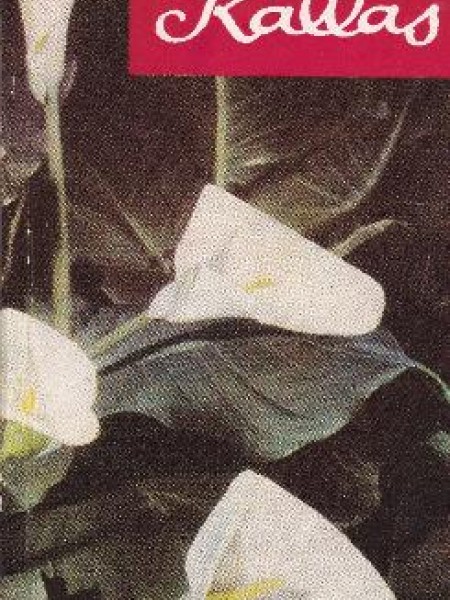 Kallas 