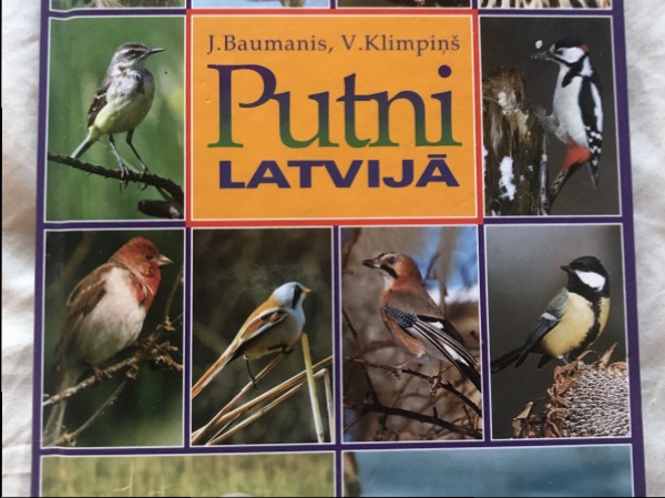 Putni Latvijā