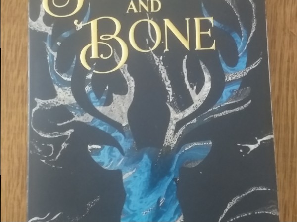 Shadow and bone