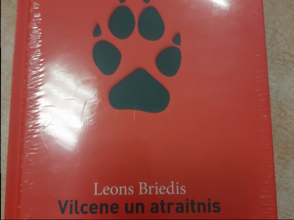 Vilcene un atraitnis