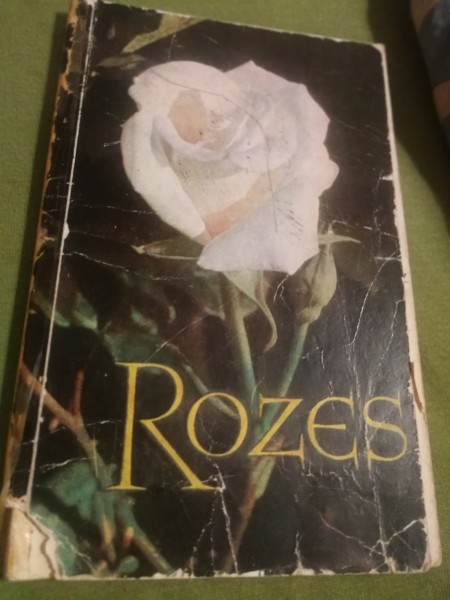 Rozes