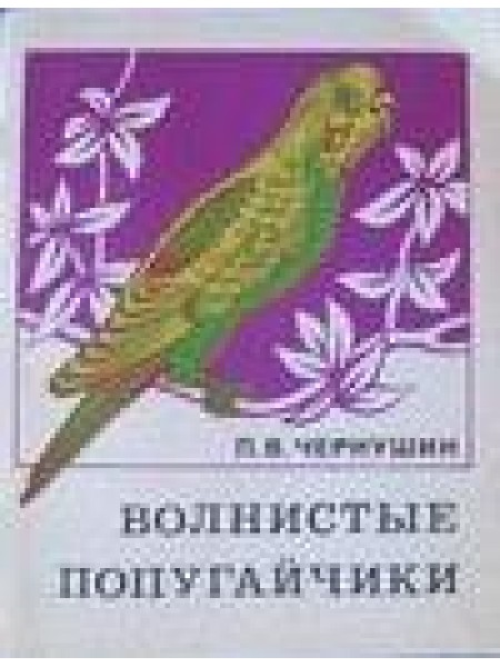 Волнистые попугайчики 