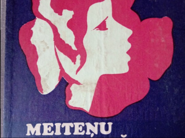 Meiteņu sagatavošana ģimenes dzīvei