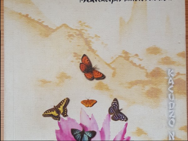 Dvēseles attīrīšana