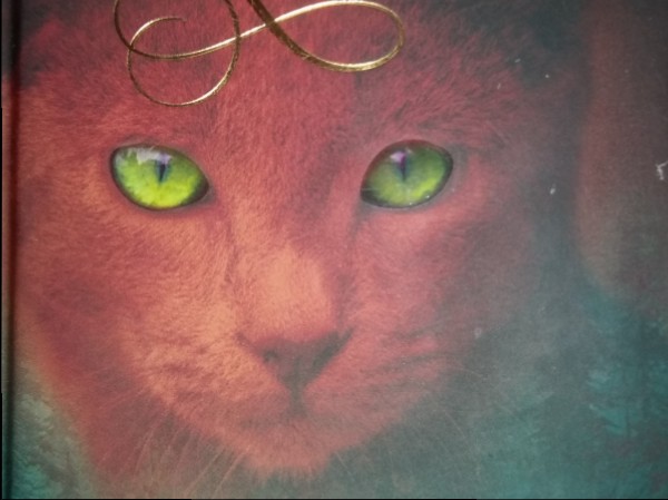 Klanu kaķi Brīvībā 