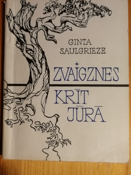 Zvaigznes krīt jūrā