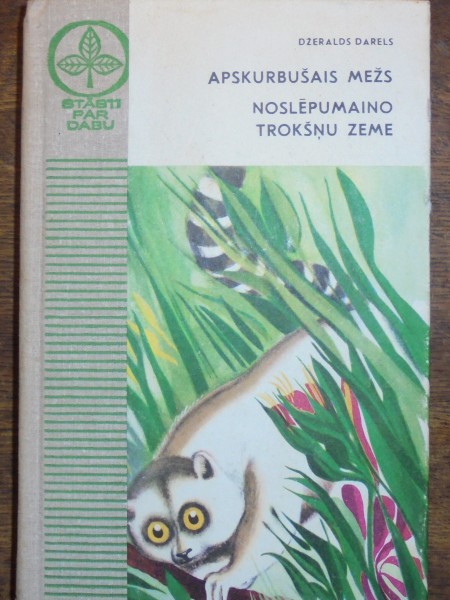 Abskurbušais mežs.Noslēpumaino trokšņu zeme