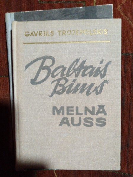 Baltais bims melnā auss